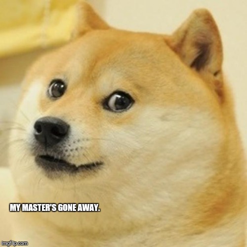 Doge Meme | MY MASTER'S GONE AWAY. | image tagged in memes,doge | made w/ Imgflip meme maker