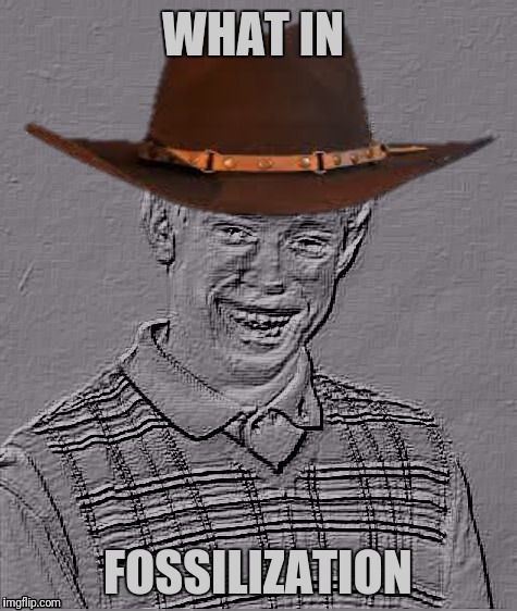 Bad Luck Brian Carbonite | WHAT IN FOSSILIZATION | image tagged in bad luck brian carbonite | made w/ Imgflip meme maker