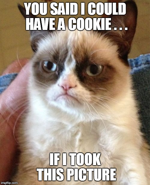 Grumpy Cat Meme | YOU SAID I COULD HAVE A COOKIE . . . IF I TOOK THIS PICTURE | image tagged in memes,grumpy cat | made w/ Imgflip meme maker