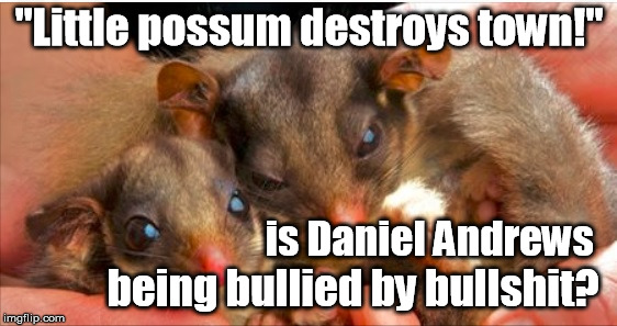 Possum destroys town? | "Little possum destroys town!"; is Daniel Andrews; being bullied by bullshit? | image tagged in leadbeaters,logging,central highlands,wildlife,forests | made w/ Imgflip meme maker