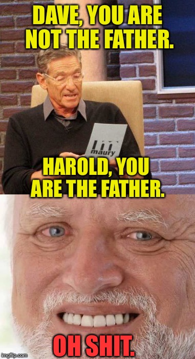 DAVE, YOU ARE NOT THE FATHER. HAROLD, YOU ARE THE FATHER. OH SHIT. | made w/ Imgflip meme maker
