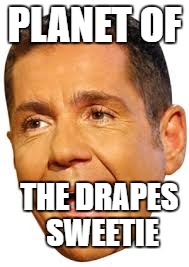 Dale | PLANET OF; THE DRAPES SWEETIE | image tagged in drapes | made w/ Imgflip meme maker