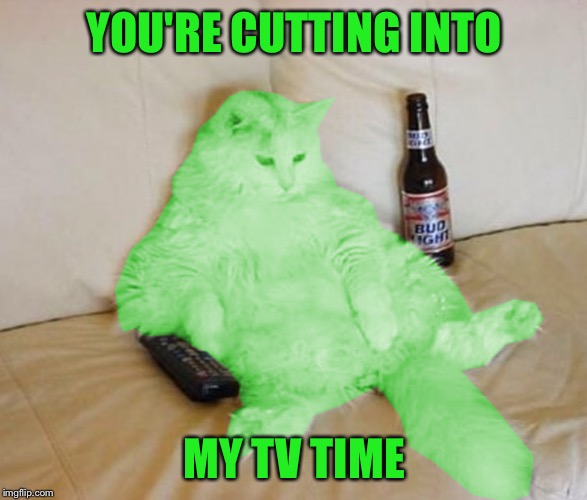 RayCat Chillin' | YOU'RE CUTTING INTO MY TV TIME | image tagged in raycat chillin' | made w/ Imgflip meme maker