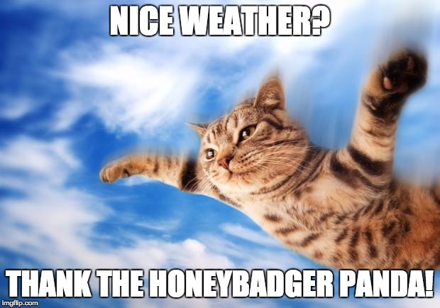 Flying-cat | NICE WEATHER? THANK THE HONEYBADGER PANDA! | image tagged in flying-cat | made w/ Imgflip meme maker