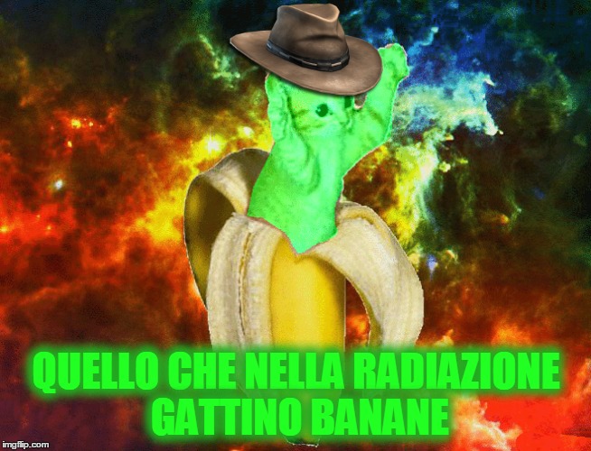 QUELLO CHE NELLA RADIAZIONE GATTINO BANANE | made w/ Imgflip meme maker