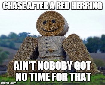Strawman | CHASE AFTER A RED HERRING; AIN'T NOBOBY GOT NO TIME FOR THAT | image tagged in strawman | made w/ Imgflip meme maker
