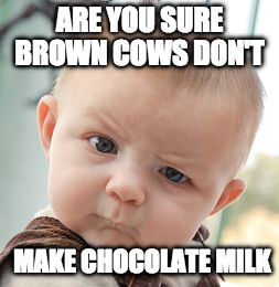 Skeptical Baby | ARE YOU SURE BROWN COWS DON'T; MAKE CHOCOLATE MILK | image tagged in memes,skeptical baby | made w/ Imgflip meme maker