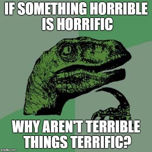 Philosoraptor | IF SOMETHING HORRIBLE IS HORRIFIC; WHY AREN'T TERRIBLE THINGS TERRIFIC? | image tagged in memes,philosoraptor | made w/ Imgflip meme maker