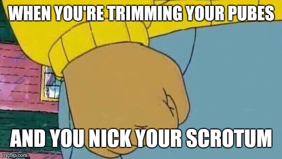 Arthur Fist | WHEN YOU'RE TRIMMING YOUR PUBES; AND YOU NICK YOUR SCROTUM | image tagged in memes,arthur fist | made w/ Imgflip meme maker