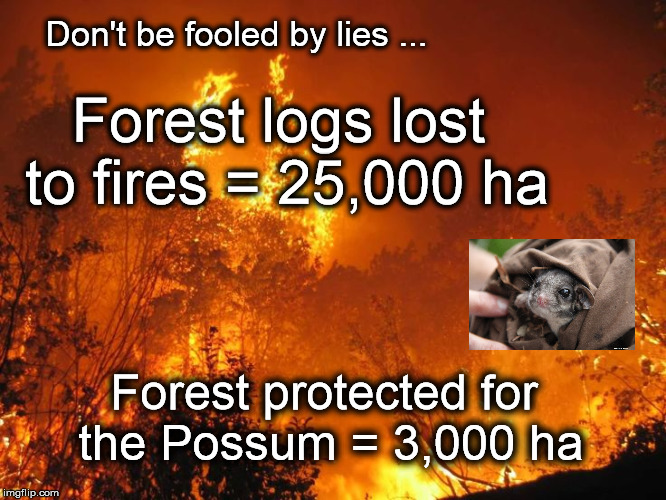 Fires vs leadbeaters Possum | Don't be fooled by lies ... Forest logs lost to fires = 25,000 ha; Forest protected for the Possum =
3,000 ha | image tagged in leadbeaters,heyfield,logging,wildlife | made w/ Imgflip meme maker