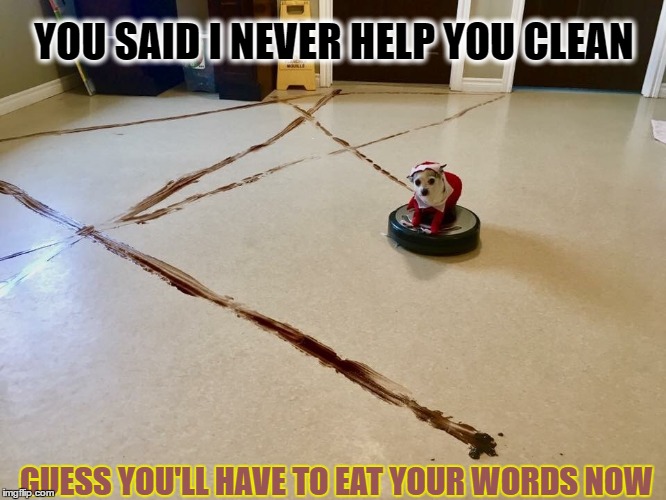 Roomba Poop | YOU SAID I NEVER HELP YOU CLEAN; GUESS YOU'LL HAVE TO EAT YOUR WORDS NOW | image tagged in roomba poop | made w/ Imgflip meme maker