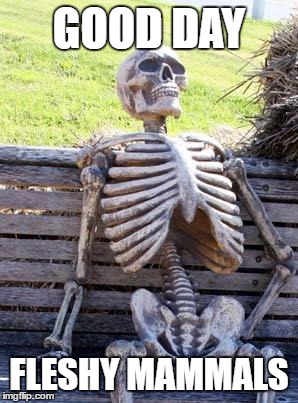 Waiting Skeleton Meme | GOOD DAY; FLESHY MAMMALS | image tagged in memes,waiting skeleton | made w/ Imgflip meme maker