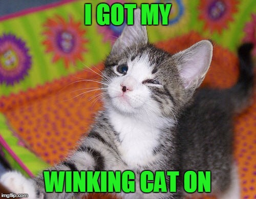 I GOT MY WINKING CAT ON | made w/ Imgflip meme maker