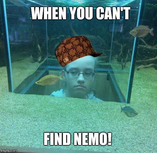 WHEN YOU CAN'T; FIND NEMO! | image tagged in head in fish tanm,scumbag | made w/ Imgflip meme maker