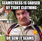 "Seams" Legit | SEAMSTRESS IS CAUSED BY TIGHT CLOTHING; OR SEW IT SEAMS | image tagged in doofy,best,trending now,latest | made w/ Imgflip meme maker