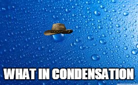 WHAT IN CONDENSATION | image tagged in water drops | made w/ Imgflip meme maker