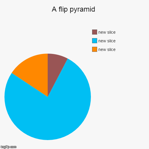 image tagged in funny,pie charts | made w/ Imgflip chart maker