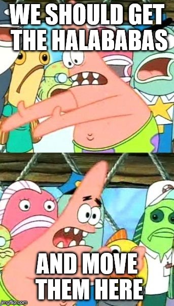 Put It Somewhere Else Patrick | WE SHOULD GET THE HALABABAS; AND MOVE THEM HERE | image tagged in memes,put it somewhere else patrick | made w/ Imgflip meme maker