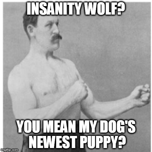 Insanity Wolf? | INSANITY WOLF? YOU MEAN MY DOG'S NEWEST PUPPY? | image tagged in memes,overly manly man,insanity wolf | made w/ Imgflip meme maker