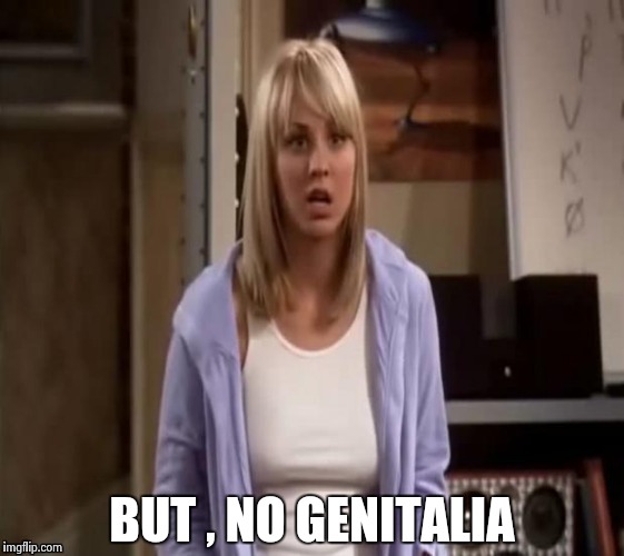 Confused Penny | BUT , NO GENITALIA | image tagged in confused penny | made w/ Imgflip meme maker