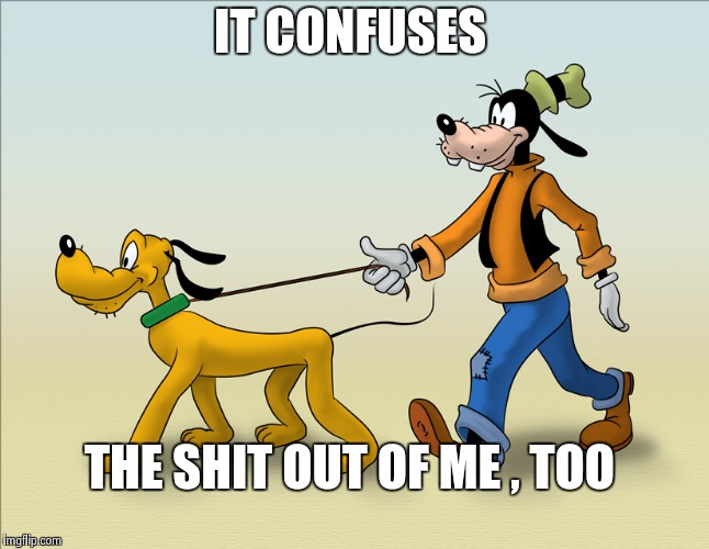 IT CONFUSES THE SHIT OUT OF ME , TOO | image tagged in goofy and pluto | made w/ Imgflip meme maker