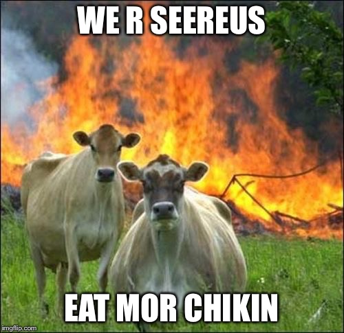 Evil Cows Meme | WE R SEEREUS; EAT MOR CHIKIN | image tagged in memes,evil cows | made w/ Imgflip meme maker