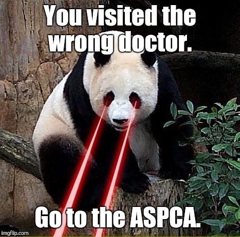 1b7oi0.jpg | You visited the wrong doctor. Go to the ASPCA. | image tagged in 1b7oi0jpg | made w/ Imgflip meme maker