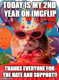 Time flies when you're having fun! | TODAY IS MY 2ND YEAR ON IMGFLIP; THANKS EVERYONE FOR THE HATE AND SUPPORT!! | image tagged in cat celebration | made w/ Imgflip meme maker