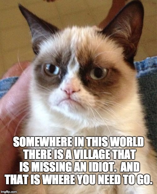 Grumpy Cat Meme | SOMEWHERE IN THIS WORLD THERE IS A VILLAGE THAT IS MISSING AN IDIOT.  AND THAT IS WHERE YOU NEED TO GO. | image tagged in memes,grumpy cat | made w/ Imgflip meme maker