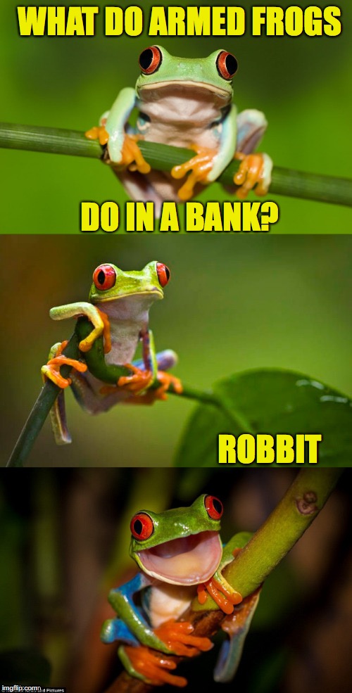 Croakers | WHAT DO ARMED FROGS; DO IN A BANK? ROBBIT | image tagged in frog puns | made w/ Imgflip meme maker