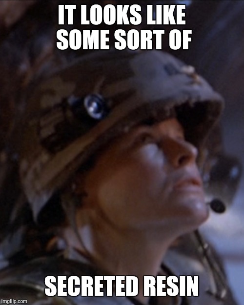 1l97kh.jpg