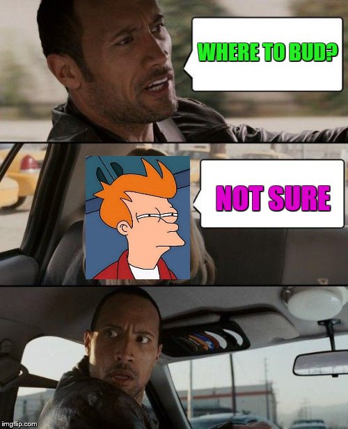 The Rock Driving | WHERE TO BUD? NOT SURE | image tagged in memes,the rock driving | made w/ Imgflip meme maker