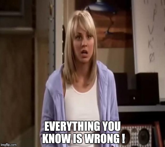 Confused Penny | EVERYTHING YOU KNOW IS WRONG ! | image tagged in confused penny | made w/ Imgflip meme maker