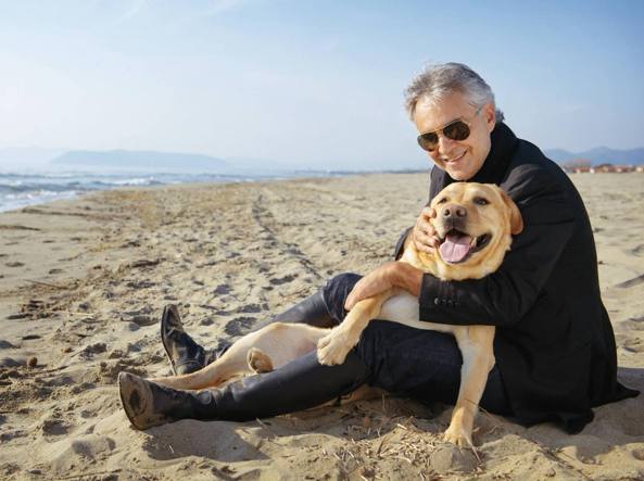 bocelli cane Blank Meme Template