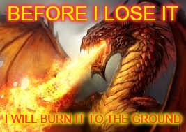 Every last thing on Imgflip that drives men mad | BEFORE I LOSE IT; I WILL BURN IT TO THE GROUND | image tagged in red dragon,trolling | made w/ Imgflip meme maker