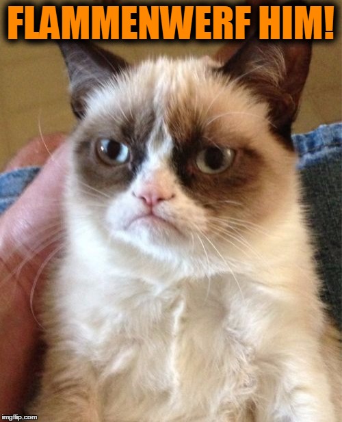 Grumpy Cat Meme | FLAMMENWERF HIM! | image tagged in memes,grumpy cat | made w/ Imgflip meme maker