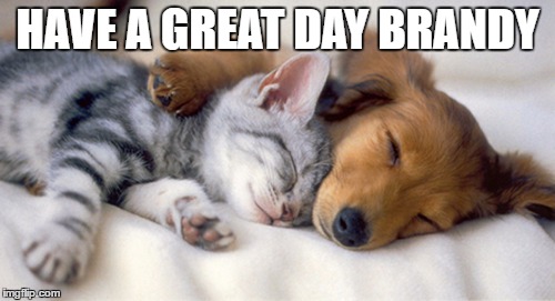 HAVE A GREAT DAY BRANDY | made w/ Imgflip meme maker