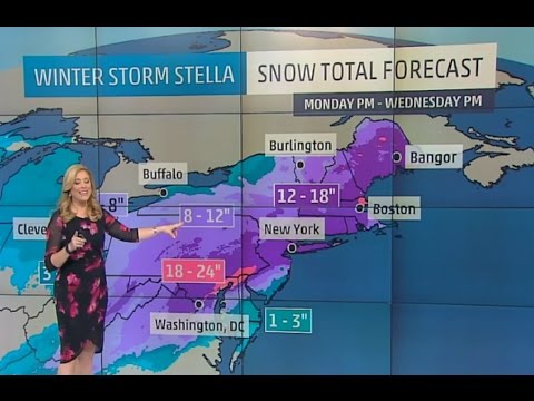 Winter Storm Stella Blank Meme Template