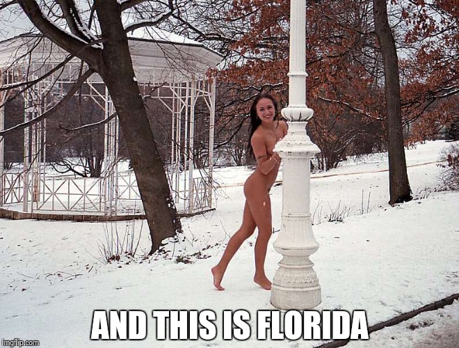 AND THIS IS FLORIDA | image tagged in snow bunny | made w/ Imgflip meme maker