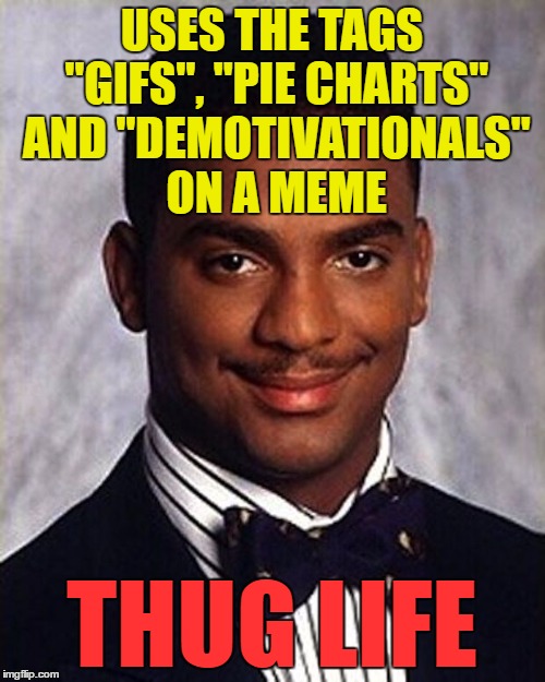 Carlton Banks Thug Life | USES THE TAGS "GIFS", "PIE CHARTS" AND "DEMOTIVATIONALS" ON A MEME THUG LIFE | image tagged in carlton banks thug life | made w/ Imgflip meme maker