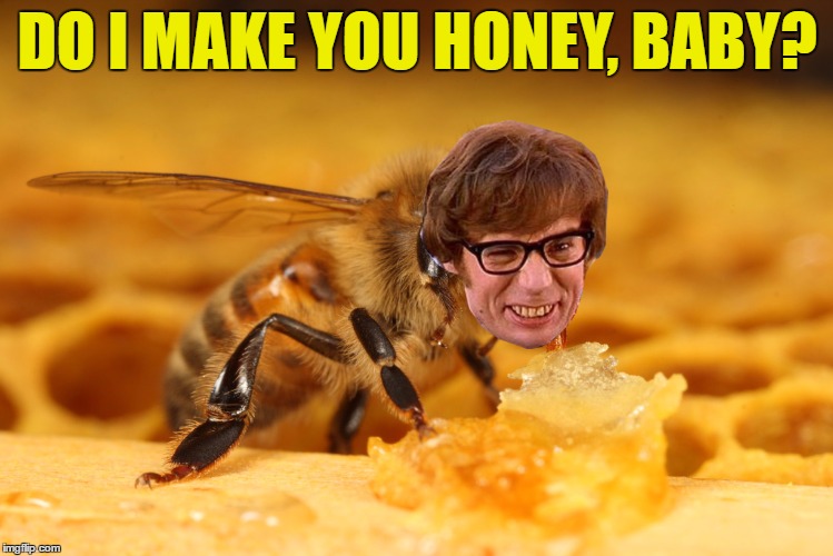 Memes baby, yeah... :) | DO I MAKE YOU HONEY, BABY? | image tagged in memes,austin powers,films,animals,bees,food | made w/ Imgflip meme maker