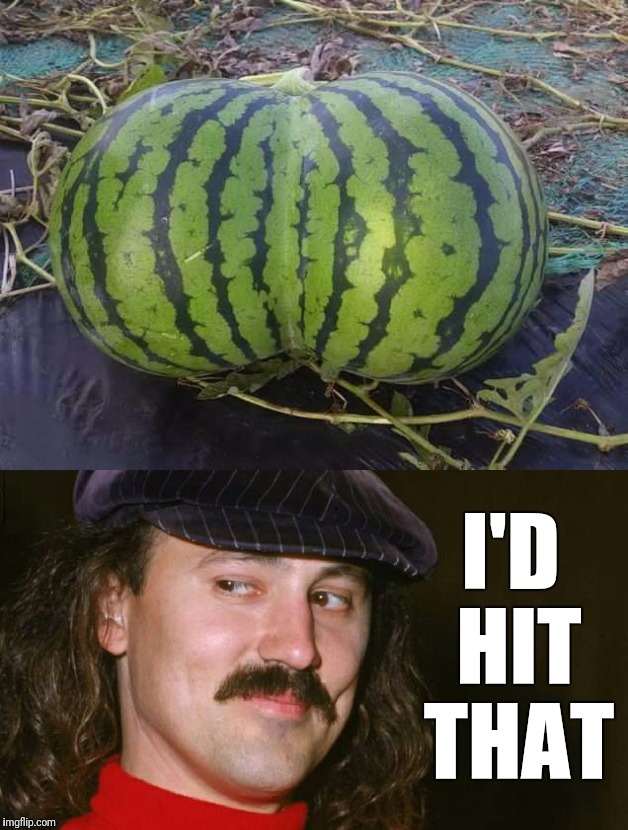 The day Gallagher's​ life changed... | I'D HIT THAT | image tagged in memes,funny,gallagher,it came from the comments,watermelon,i'd hit that | made w/ Imgflip meme maker