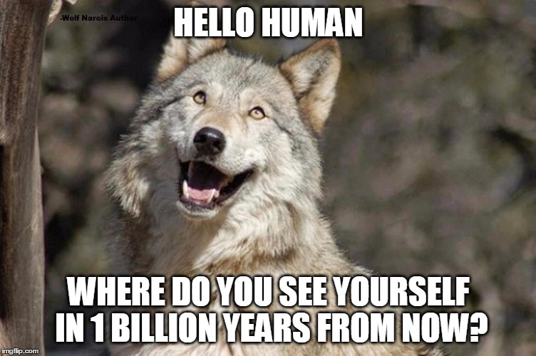 Optimistic Moon Moon Wolf Vanadium Wolf | HELLO HUMAN; WHERE DO YOU SEE YOURSELF IN 1 BILLION YEARS FROM NOW? | image tagged in optimistic moon moon wolf vanadium wolf | made w/ Imgflip meme maker