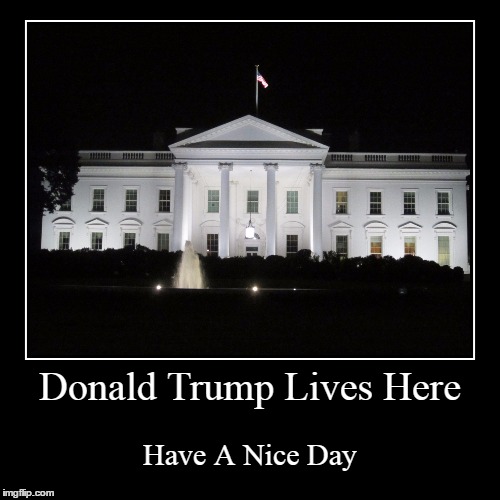 Image result for trump lives here
