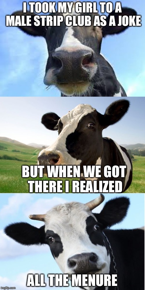 ...All the men knew her... | I TOOK MY GIRL TO A MALE STRIP CLUB AS A JOKE; BUT WHEN WE GOT THERE I REALIZED; ALL THE MENURE | image tagged in bad pun cow,memes,funny,bad puns | made w/ Imgflip meme maker