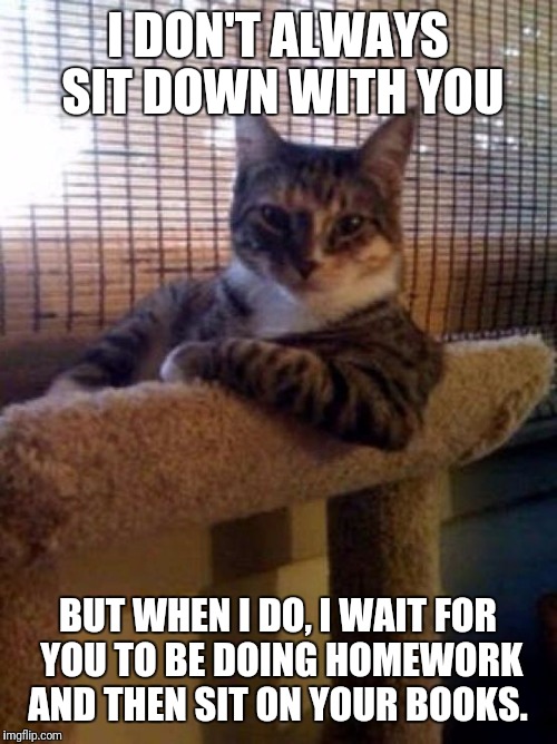 The Most Interesting Cat In The World Meme | I DON'T ALWAYS SIT DOWN WITH YOU; BUT WHEN I DO, I WAIT FOR YOU TO BE DOING HOMEWORK AND THEN SIT ON YOUR BOOKS. | image tagged in memes,the most interesting cat in the world | made w/ Imgflip meme maker