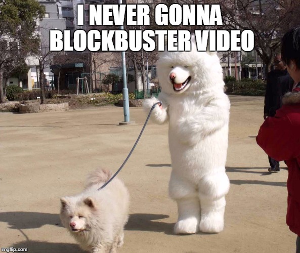white dog | I NEVER GONNA BLOCKBUSTER VIDEO | image tagged in white dog | made w/ Imgflip meme maker