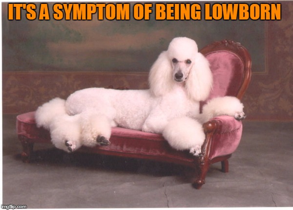 IT'S A SYMPTOM OF BEING LOWBORN | made w/ Imgflip meme maker