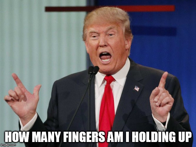 Donald Trump | HOW MANY FINGERS AM I HOLDING UP | image tagged in donald trump | made w/ Imgflip meme maker