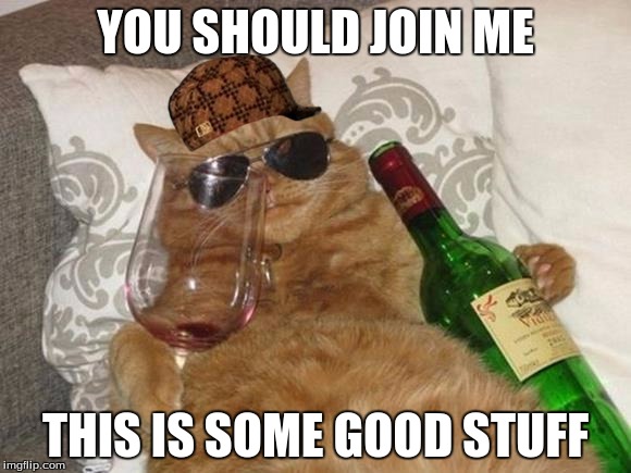 Funny Cat Birthday | YOU SHOULD JOIN ME; THIS IS SOME GOOD STUFF | image tagged in funny cat birthday,scumbag | made w/ Imgflip meme maker